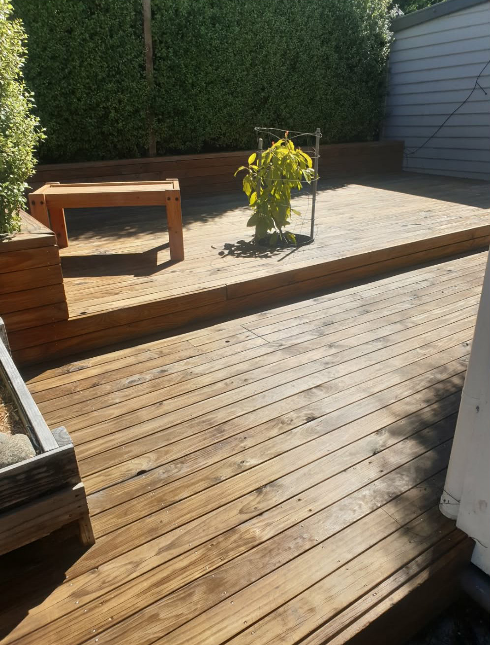 Deck painting in Tasmania